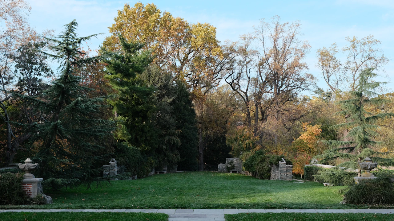 Jardin après création — pelouse et massifs aménagés